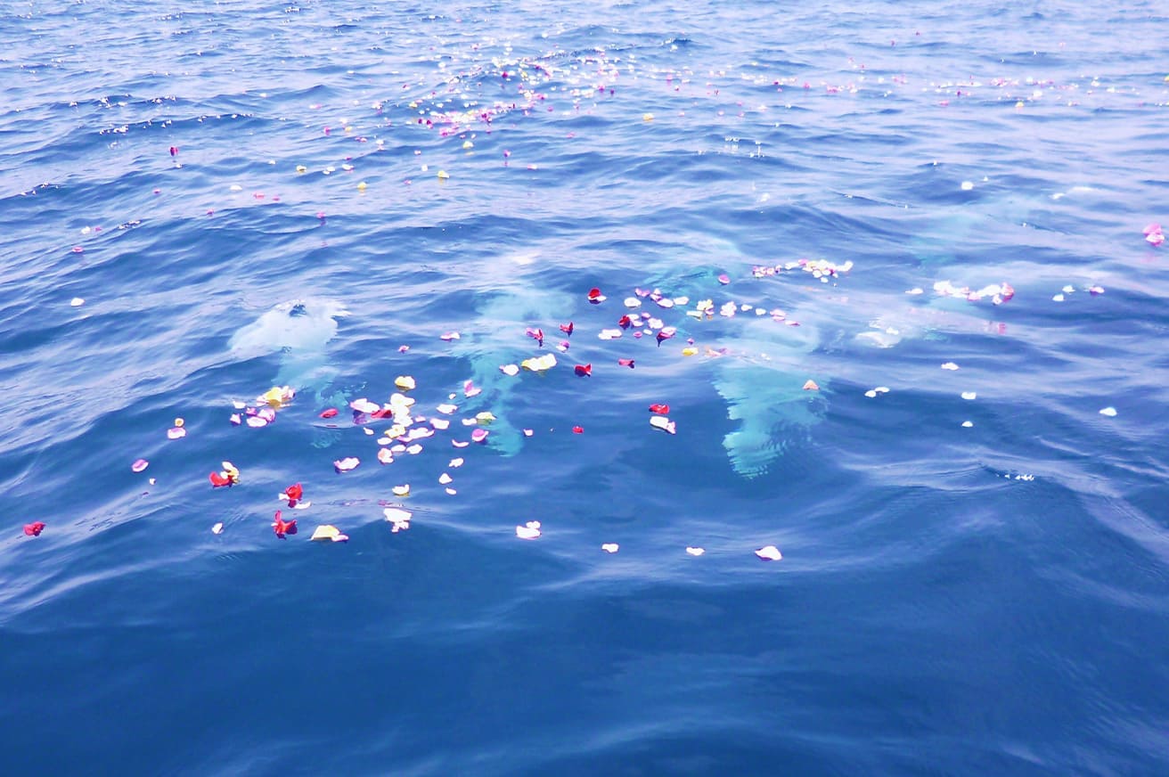 沖縄ペット葬｜沖縄風化造珊瑚礁を原材料とした環境にやさしい墓標